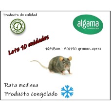 Lote 10 unidades rata mediana ( Producto Congelado)